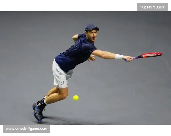 网球选手穆雷伤愈复出时间表公布